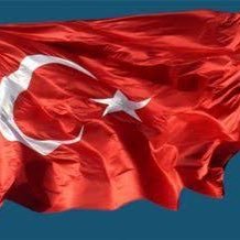 AhmetBe74195036's profile picture. 