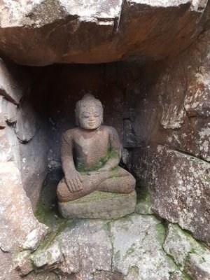 oODakiOo's profile picture. 