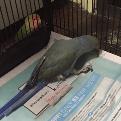 stephen71686830's profile picture. Twitter For Good