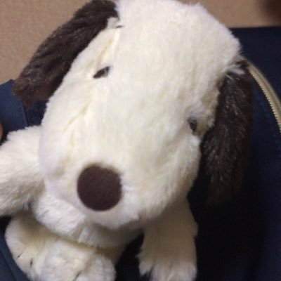 Ffn15Rie0511's profile picture. 新川▷天使大学栄養👼 🍣