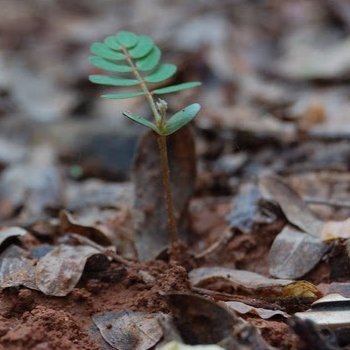 Enabling Organisational Development through wholistic Diagnosis, Leadership Development Practices, and technical consulting. #OD #Lead #Change #Consult