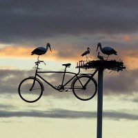 Düşünen bir topluma.. (@mortocu) 's Twitter Profile Photo