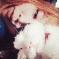 miccö みかてぃ (@medulla_min) 's Twitter Profile