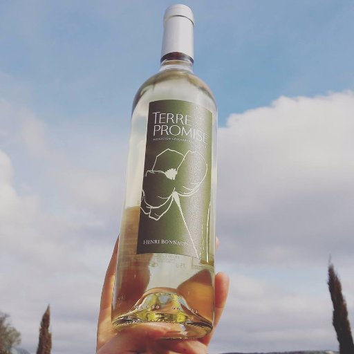 Henri_Bonnaud's profile picture. Château Henri Bonnaud, domaine viticole bio. AOC Palette - Côtes de Provence - Côtes de Provence Sainte Victoire.