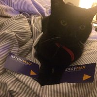 Cam P. P. morand (@morandcam) 's Twitter Profile Photo