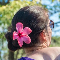 Tonke (@tonkeberg) 's Twitter Profile Photo
