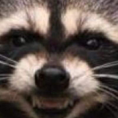 schmedtje's profile picture. 