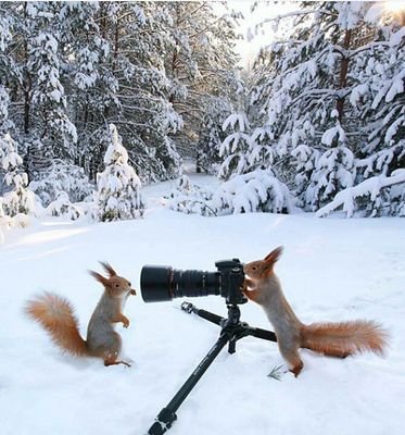 MRirim3's profile picture. juste curieux ...