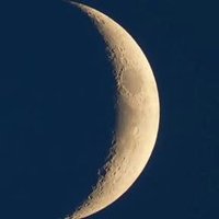 Akl-ı Selim (@madiguzelm) 's Twitter Profile