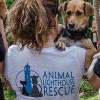ALR Sato Rescue (@alrcares) 's Twitter Profile