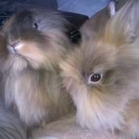 Alba (@arqueo_alba) 's Twitter Profile