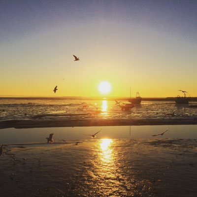 thecynicals's profile picture. all views are my own