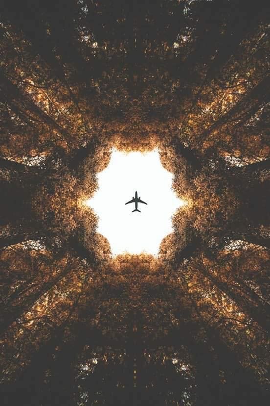 Rehab48730400's profile picture. 17 years