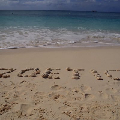 Zoetic's meaning is pertaining to life, so life's adventures. I love life, family, friends, animals, and adventures!