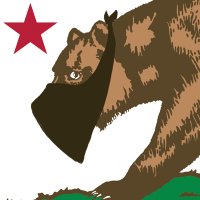 pizzolo (@pizzolo) 's Twitter Profile