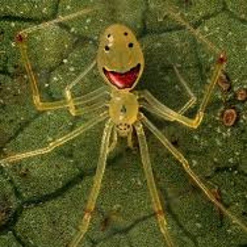 BalzoAndrea's profile picture. 