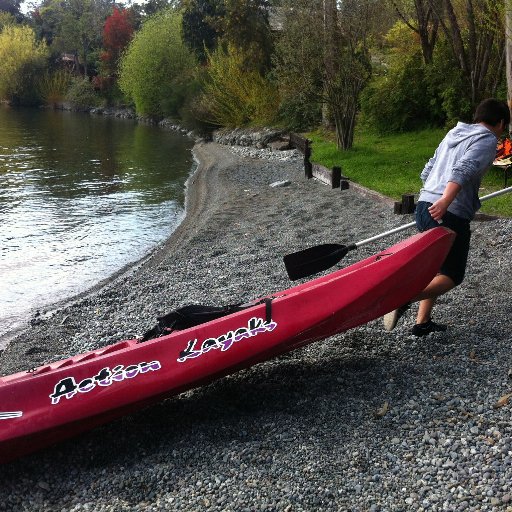 cpaezucn's profile picture. Todos los problemas parecen infantiles después de que se hayan explicado.