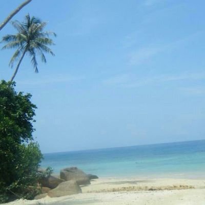 tigermilk78's profile picture. Dad, Son, Brother, Friend, Student, SAP consultant. Occasionally questions everything. Nullius in verba!