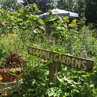 HogsmillCommunityGdn (@hogsmillcommgdn) 's Twitter Profile