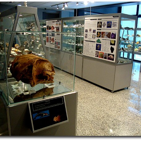 Fundado en 1850 por D. Antonio Machado y Núñez. Hoy reúne más de 5000 de ejemplares en los ámbitos de la Mineralogía, la Petrología y la Paleontología.