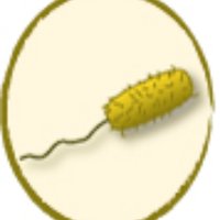 Perron Laboratory (@perronlabunige) 's Twitter Profile Photo Perron Laboratory (@perronlabunige) 's Twitter Profile Photo
