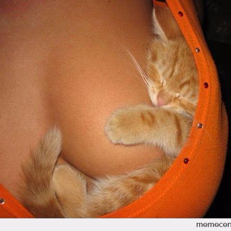 Schanhorst_'s profile picture. Videogames and politics with shits and giggles.
Russian troll they say.
¯\_(ツ)_/¯