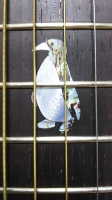 comto312's profile picture. ５２歳男。ペンギンとタイ料理が好き。