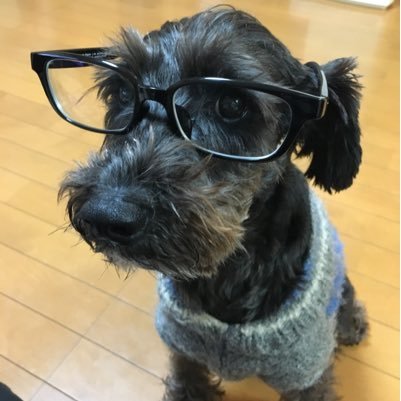 st_takumao's profile picture. ソフトテニスが大好きな長男と次男のお父さんです。ちなみに、お父さんもソフトテニス大好き！試合を観戦しに夫婦で遠征中。おいしいご飯が楽しみな、かなりお疲れの60代。