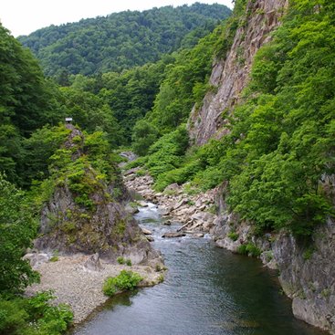 sunsunnnn21's profile picture. マイペースに呟きます。
よろしくお願いします。