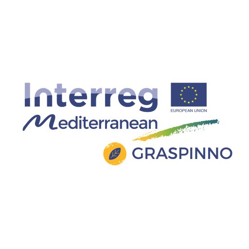 Strategies for innovative clusters/networks towards green growth, focusing on green e-procurement in EE/RES for energy refurbishment of public buildings.