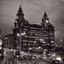 Everything Liverpool (@scouseliving) Twitter profile photo Everything Liverpool (@scouseliving) Twitter profile photo