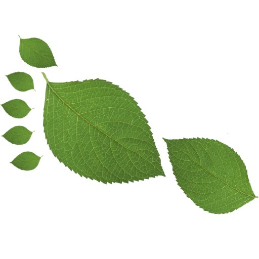 StepAppSeti's profile picture. 