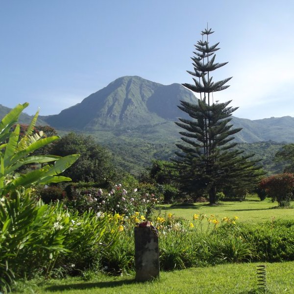 LunjiCoffeeFarm's profile picture. Family owned coffee plantation in the southern highlands of Tanzania, with a passion for specialty coffee, and a heart for the preservation of nature.
