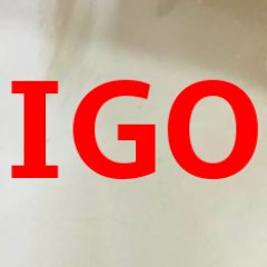 IGO