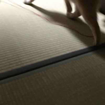 natsu2919's profile picture. 