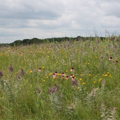 Mom, grandmom, former legislator deeply concerned because MN isn’t protecting our pollinators & drinking water sources, & not doing enough for the climate