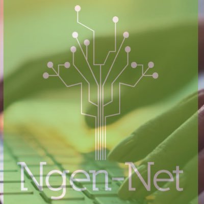 NgenNetCom's profile picture. Somos tu partner en internet. Especialista en comercio electrónico y portales web