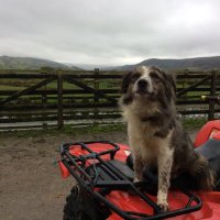 Hywel Davies (@hyweldaviesblae) 's Twitter Profile