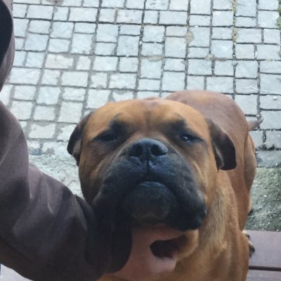 modelcar14's profile picture. I like pizza