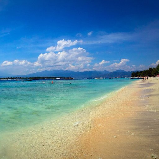 *~~Calling Island Fanatics~~*
Discover. Explore. Be Inspired.
Islands are fragile & unique.
Lets help PRESERVE their nature.