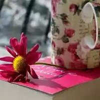 د.نبيلة الحليبة (@dr_nabila_) 's Twitter Profile