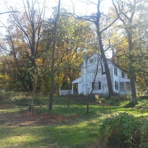 A project by GreenAllies - Where education and preservation intersect!