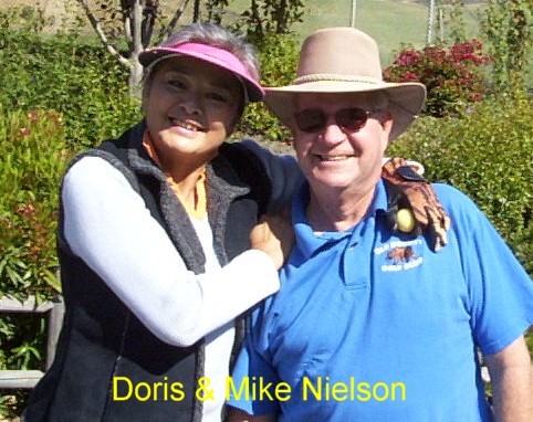 mnielson's profile picture. 