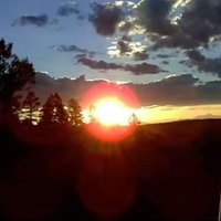 Ron Sullivan (@rsulley323350) 's Twitter Profile