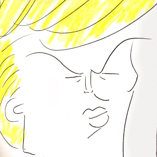 Daily drawings of President Donald Trump's tweets.