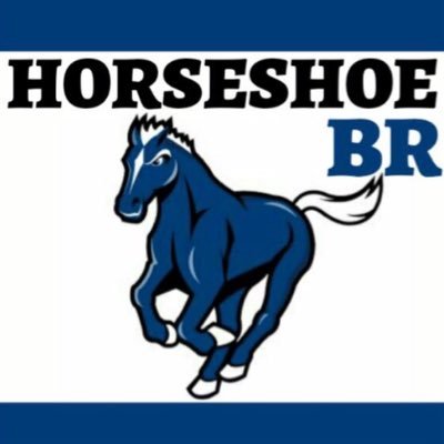 HorseshoeBr Profile Picture