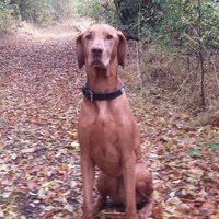 Tim Brown (@bookietimb) 's Twitter Profile Photo Tim Brown (@bookietimb) 's Twitter Profile Photo