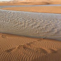 نمر العالي (@nm44tt) 's Twitter Profile