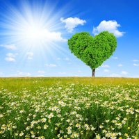 Positivity Shines (@positivityshine) 's Twitter Profile