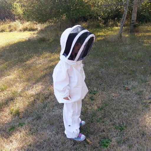 A small, treatment free apiary nestled between the Olympic National Park and Strait of Juan de Fuca. Focusing on sustainable genetics.